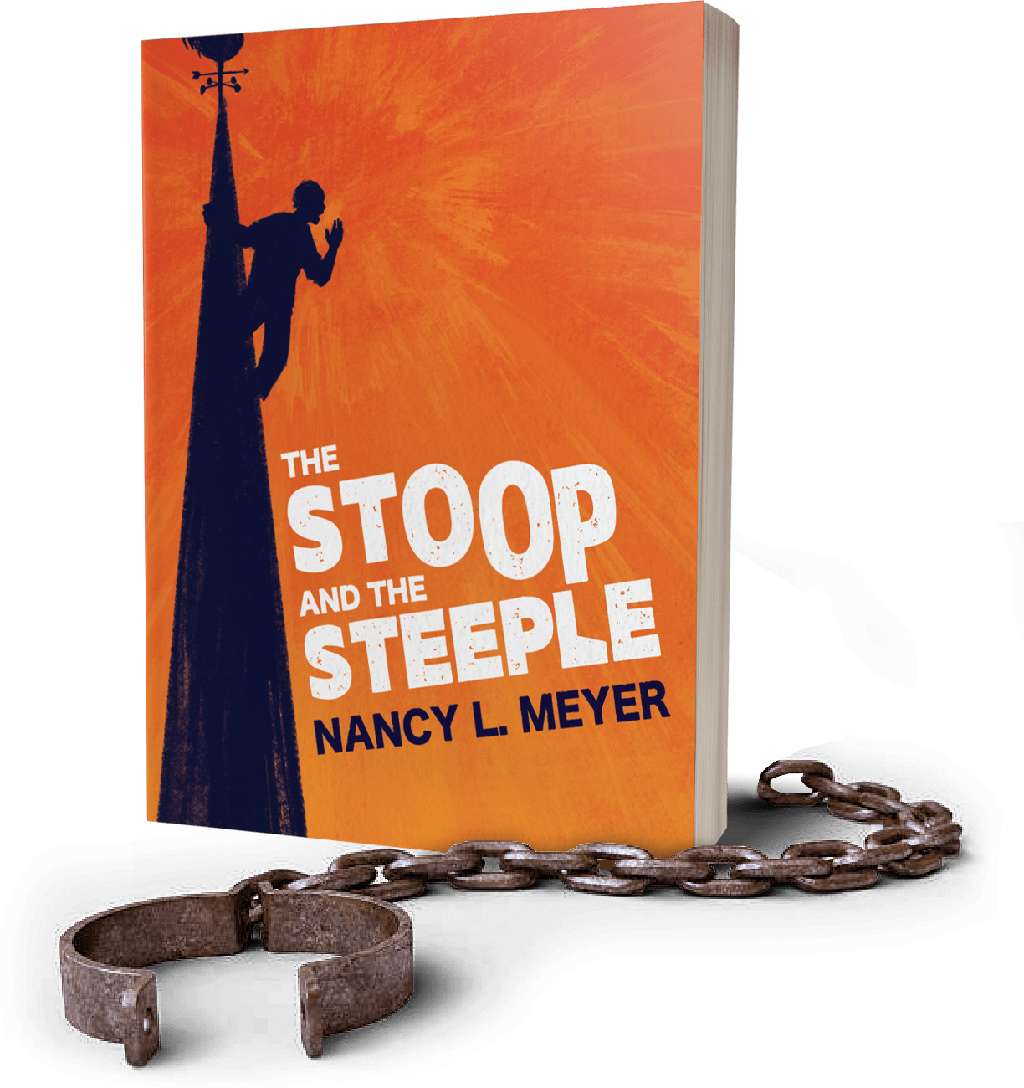 The Stoop And The Steeple by Nancy Meyer, Cover